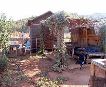 Meine Holzh&uuml;tten und ich mit der Violine - foto: Regina F. Rau Germany